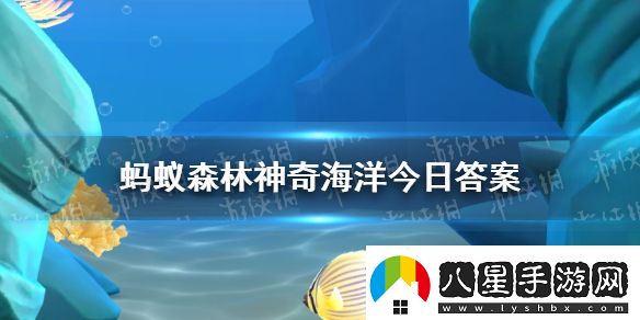 豪豬魚(yú)是什么東西螞蟻森林神奇海洋今日答案1.12最新