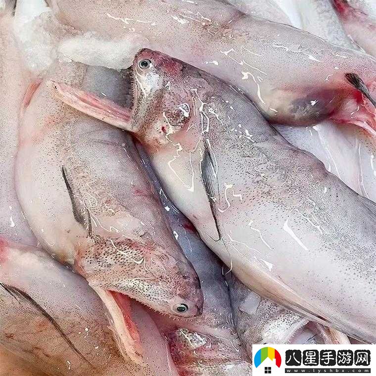 久產(chǎn)九人力資源有限公司豐沛有魚