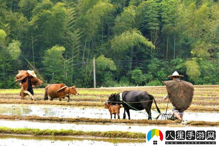 耕種媽媽肥沃的土地