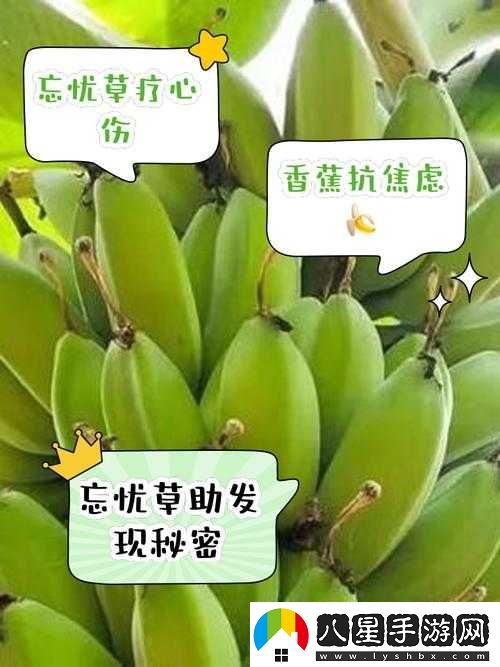 香蕉和忘憂草對(duì)焦慮的影響