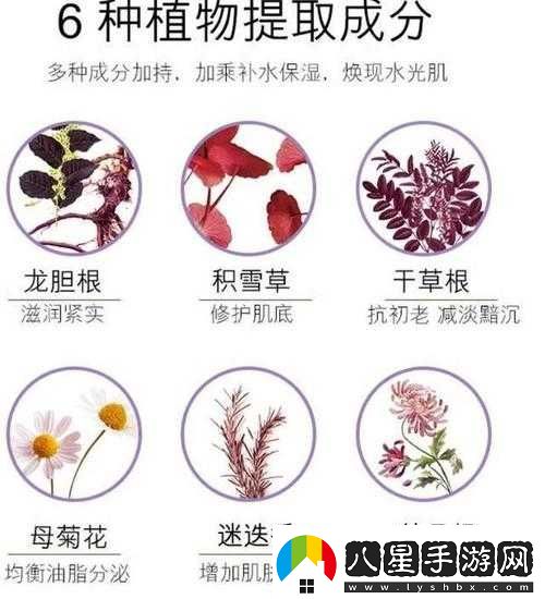 精華液一區(qū)二區(qū)區(qū)別