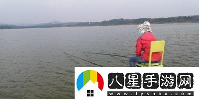 夢(mèng)想家園釣魚(yú)技巧分享