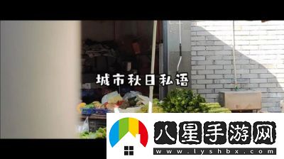 老鏢客城中村掃街83939