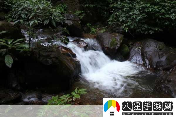 黃龍風(fēng)景區(qū)溪水潺潺的秘密